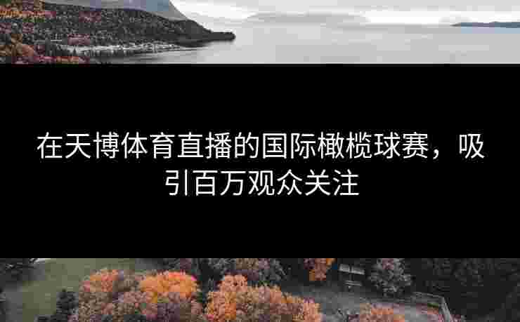 在天博体育直播的国际橄榄球赛，吸引百万观众关注