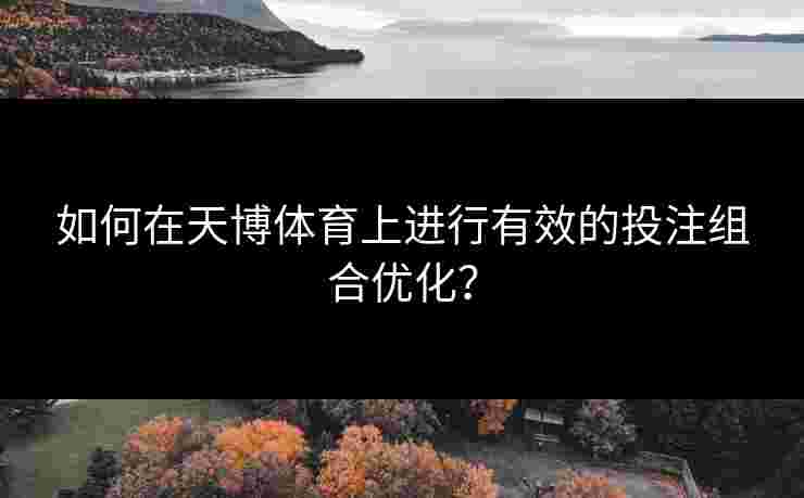 如何在天博体育上进行有效的投注组合优化？