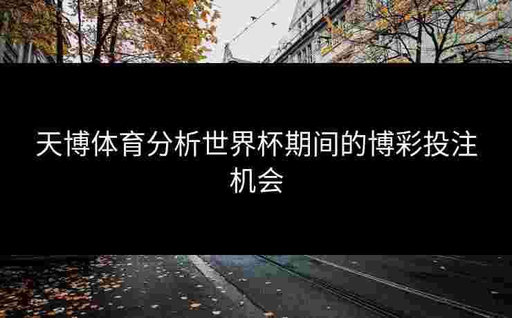 天博体育分析世界杯期间的博彩投注机会