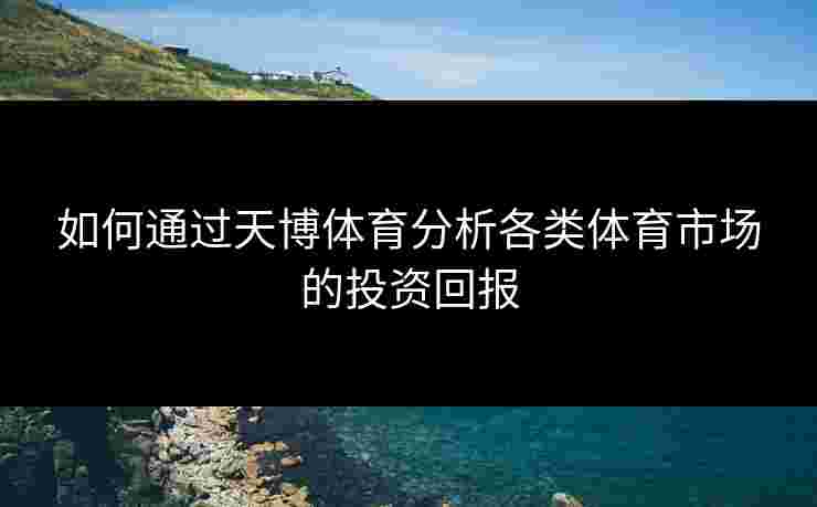 如何通过天博体育分析各类体育市场的投资回报