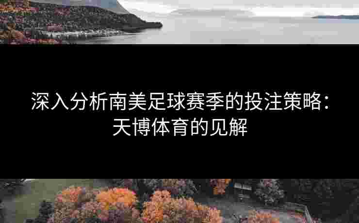 深入分析南美足球赛季的投注策略：天博体育的见解