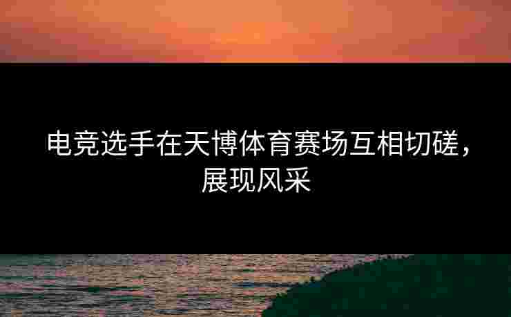 电竞选手在天博体育赛场互相切磋，展现风采